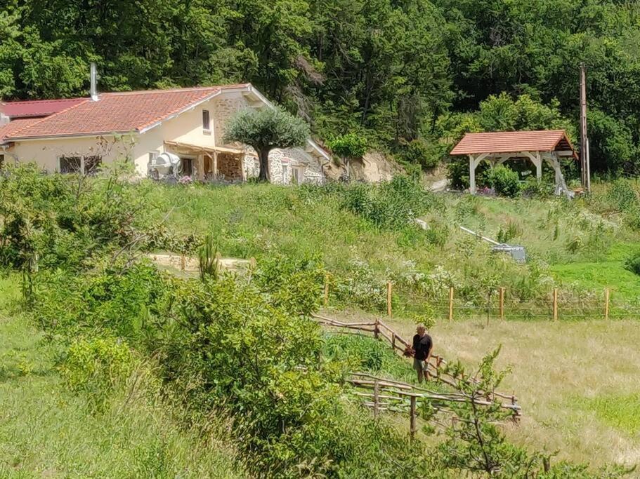 Chambre Double En Pleine Nature "La Clairiere De L'Ange" Peyrins Exteriér fotografie